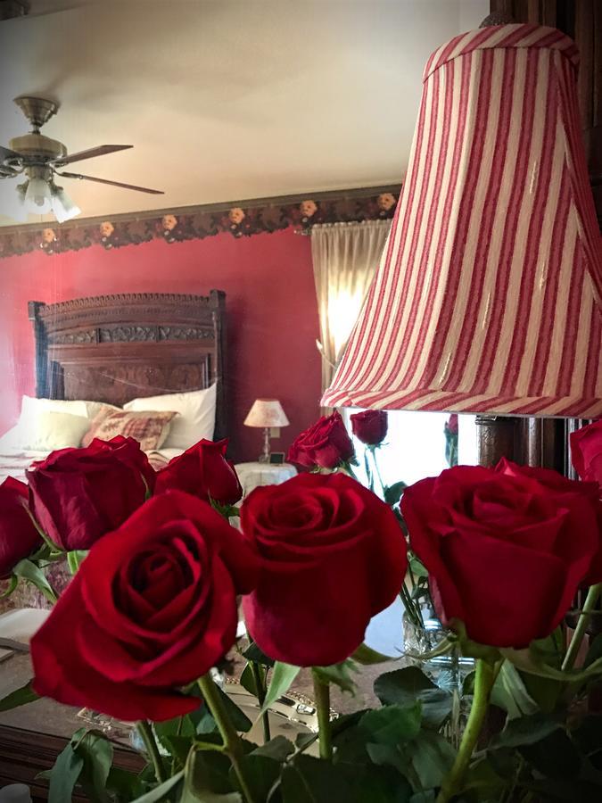 Rose Street Bed & Breakfast Τζώρτζταουν Εξωτερικό φωτογραφία
