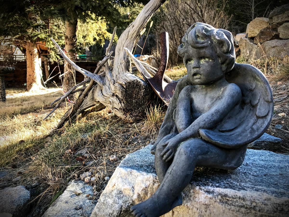 Rose Street Bed & Breakfast Τζώρτζταουν Εξωτερικό φωτογραφία